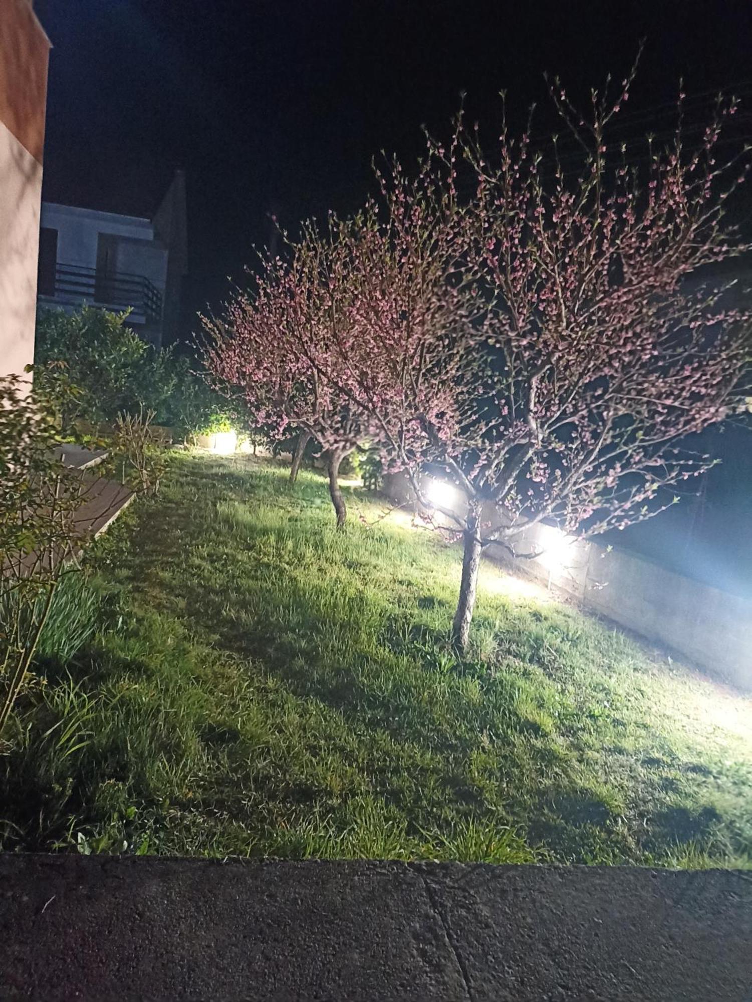 Apartmani Slado Trebinje Luaran gambar