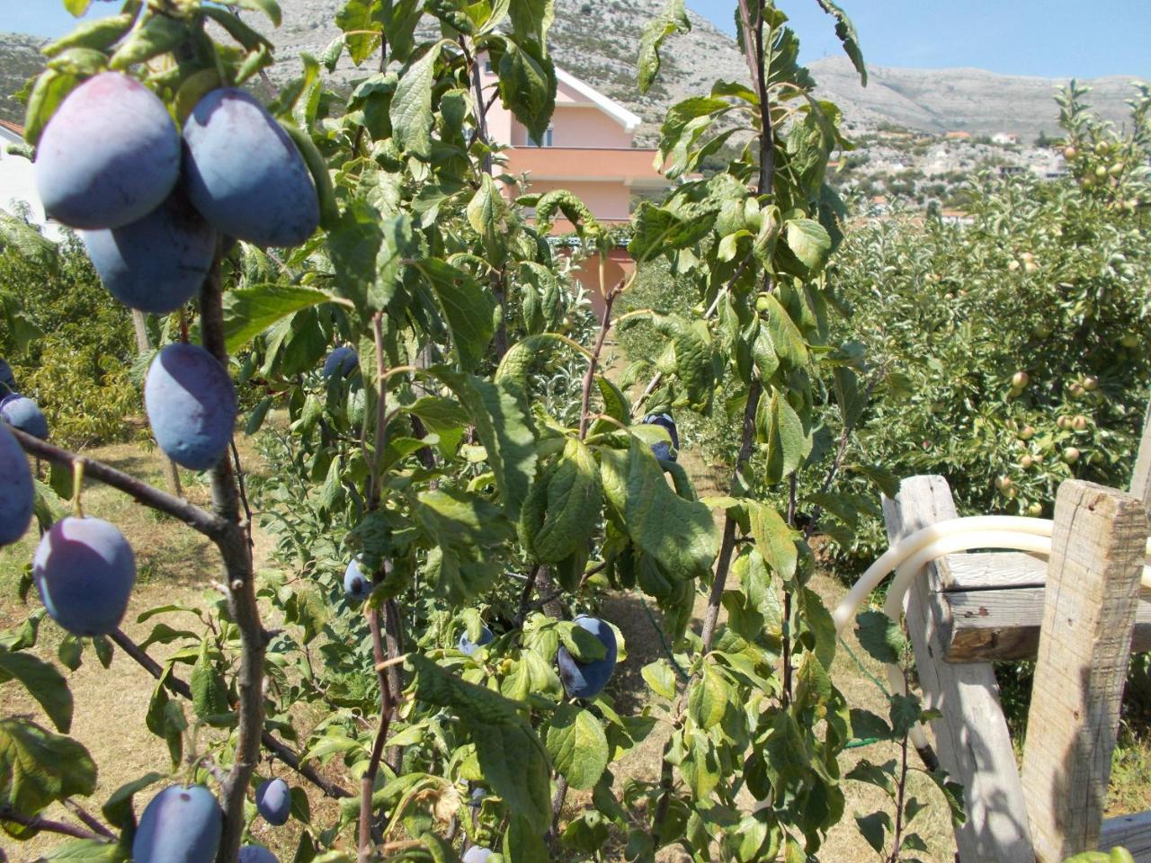 Apartmani Slado Trebinje Luaran gambar
